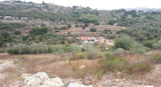 Land for Sale Ain Kfaa Jbeil Area 1705Sqm