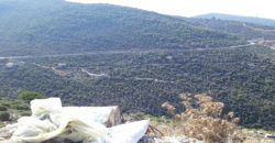 Land for Sale Haqel Jbeil Area 980Sqm