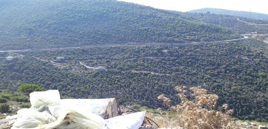 Land for Sale Haqel Jbeil Area 980Sqm