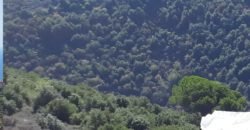 Land for Sale Haqel Jbeil Area 980Sqm