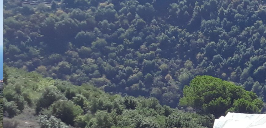 Land for Sale Haqel Jbeil Area 980Sqm