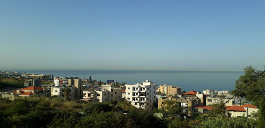 Land for Sale Halat Jbeil Area 602Sqm
