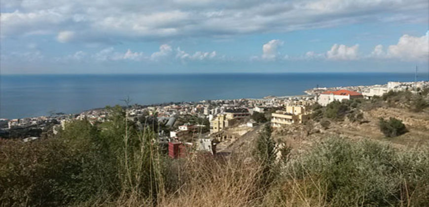 Land for Sale Blat Jbeil Area 3130Sqm