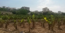 Land for Sale Jbeil Byblos City Area 1275Sqm