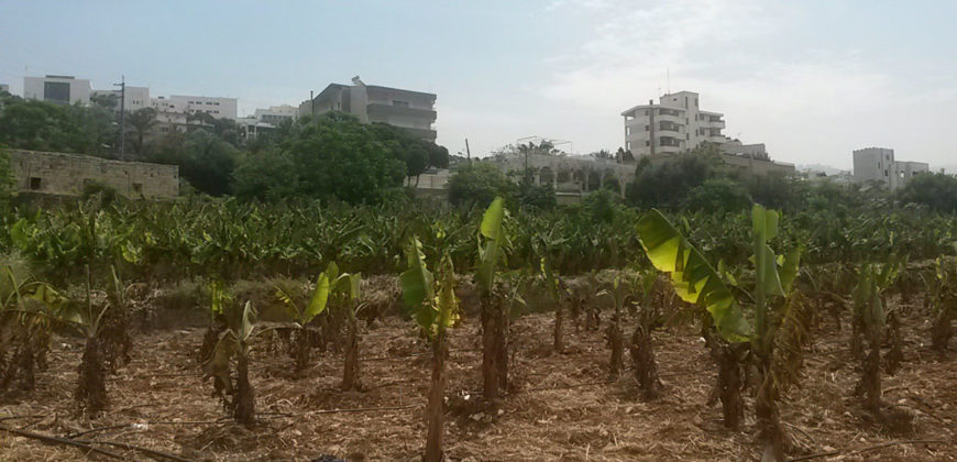 Land for Sale Jbeil Byblos City Area 1275Sqm