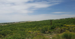 Land for Sale Ehmej Jbeil Area 897Sqm