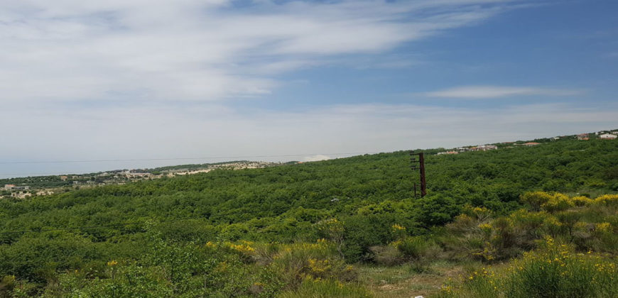 Land for Sale Ehmej Jbeil Area 897Sqm