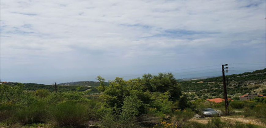 Land for Sale Ehmej Jbeil Area 897Sqm