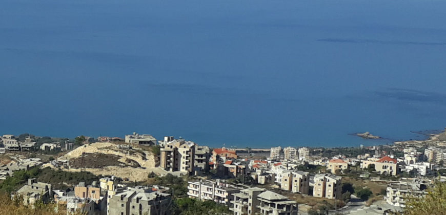 Land for Sale Blat Jbeil Area2200Sqm