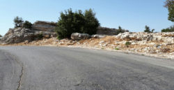 Land for Sale Hjoula Jbeil Area 3960Sqm