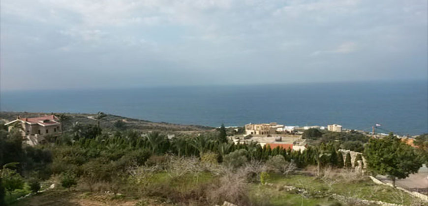 Land for Sale Berbara Jbeil Area 1572Sqm