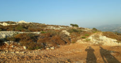 Land for Sale Ghalboun Jbeil Area 18912Sqm