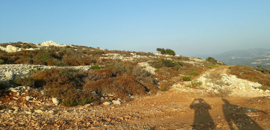 Land for Sale Ghalboun Jbeil Area 18912Sqm