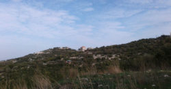 Land for Sale Gharzouz Jbeil Area 5030Sqm