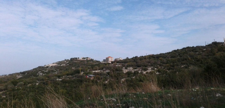 Land for Sale Gharzouz Jbeil Area 5030Sqm