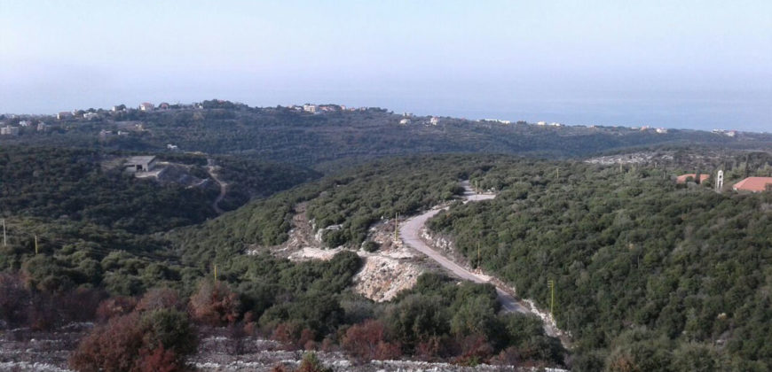 Land for Sale Gharzouz Jbeil Area 5030Sqm