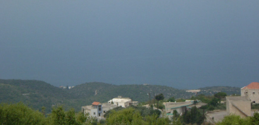 Land for Sale Maad Jbeil Area 1580Sqm