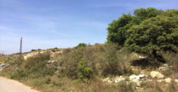 Land for Sale Gharzouz Jbeil Area 890Sqm
