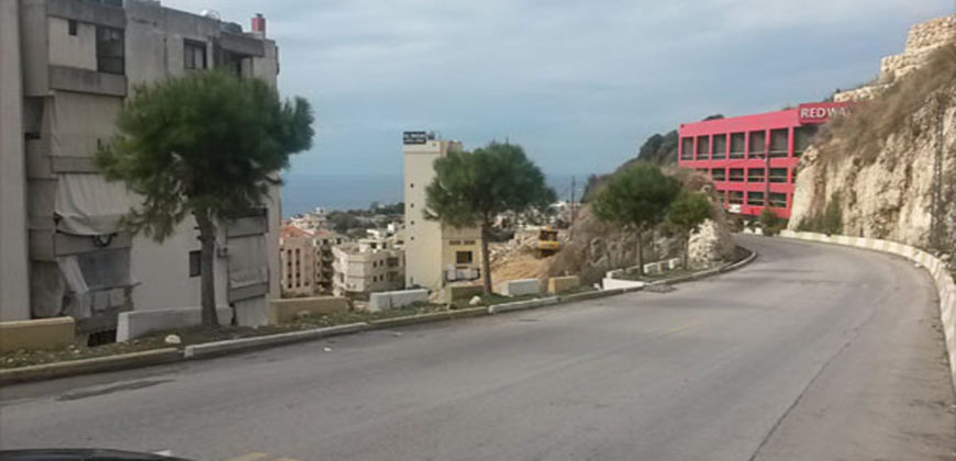 Land for Sale Blat Jbeil Area 2441Sqm