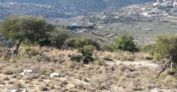 Land for Sale Bejjeh Jbeil Area 6606Sqm