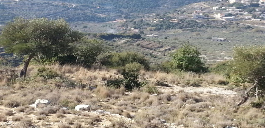 Land for Sale Bejjeh Jbeil Area 6606Sqm