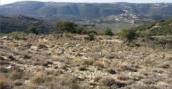 Land for Sale Bejjeh Jbeil Area 6606Sqm