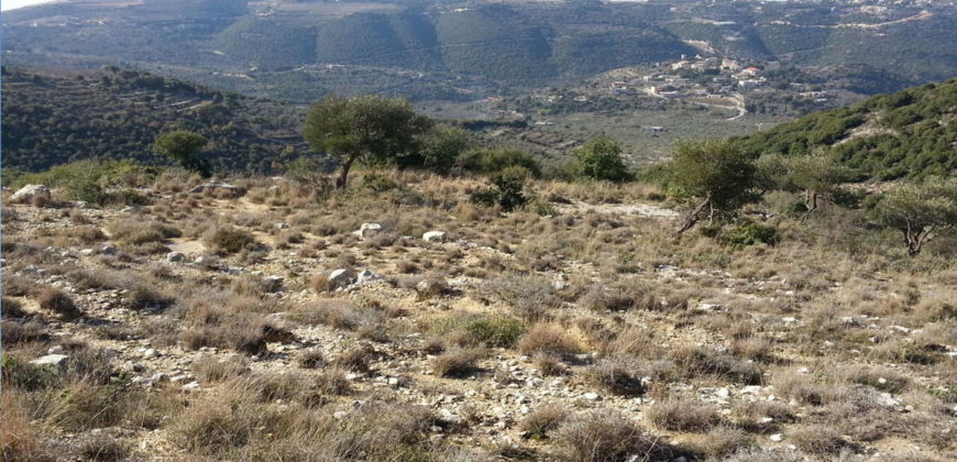 Land for Sale Bejjeh Jbeil Area 6606Sqm