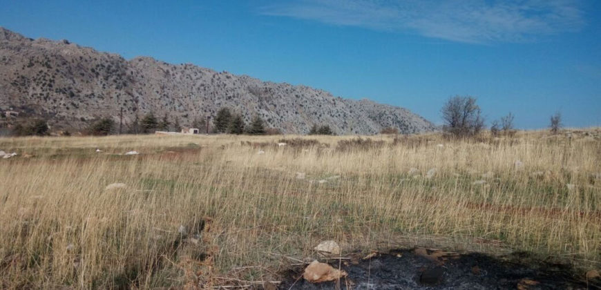 Land for Sale Aaqoura ( Laqlouq ) Jbeil Area 857Sqm