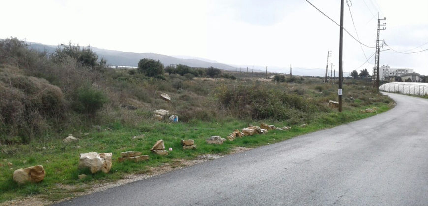 Land for Sale Maad Jbeil Area 2515Sqm