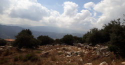 Land for Sale Ehmej Jbeil Area 3650Sqm