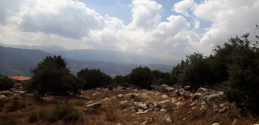 Land for Sale Ehmej Jbeil Area 3650Sqm