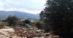 Land for Sale Ehmej Jbeil Area 3650Sqm