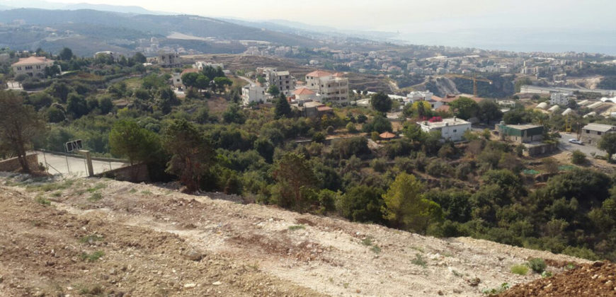 Land for Sale Kfar Mashoun Jbeil Area 8700Sqm