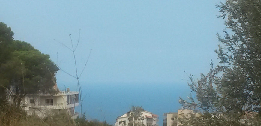 Land for Sale Blat Jbeil Area 1800Sq