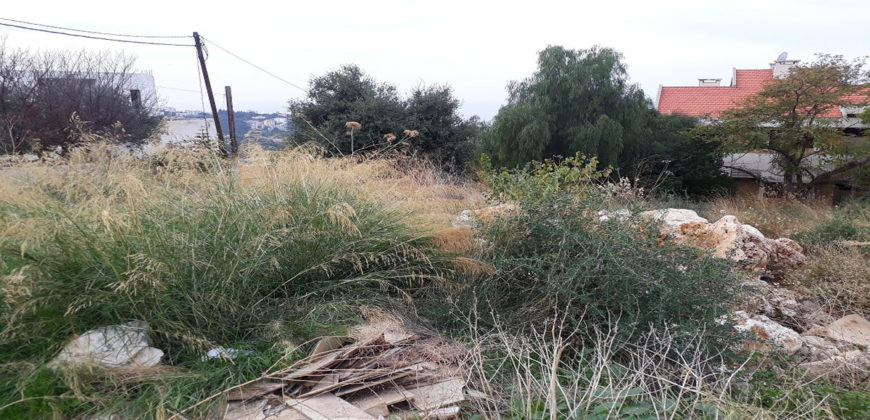 Land for Sale Chikhane Jbeil Area 995Sqm
