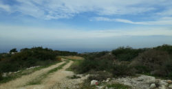 Land for Sale Chikhane Jbeil Area 11632Sqm