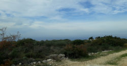 Land for Sale Chikhane Jbeil Area 11632Sqm