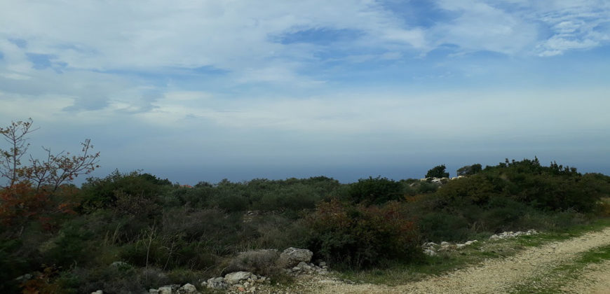 Land for Sale Chikhane Jbeil Area 11632Sqm
