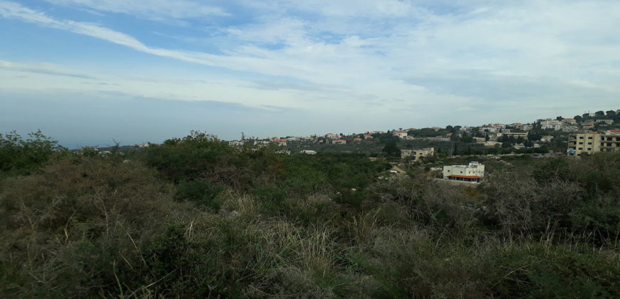 Land for Sale Chikhane Jbeil Area 5000Sqm