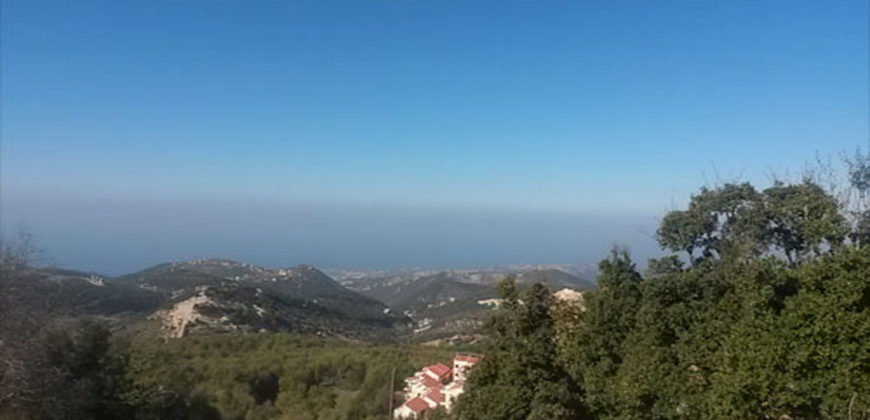 Land for Sale Ehmej ( Aaouayni ) Jbeil Area 1762Sqm