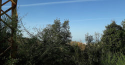 Land for Sale Ehmej ( Aaouayni ) Jbeil Area 1143Sqm