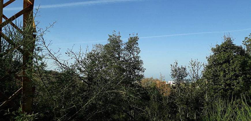 Land for Sale Ehmej ( Aaouayni ) Jbeil Area 1143Sqm
