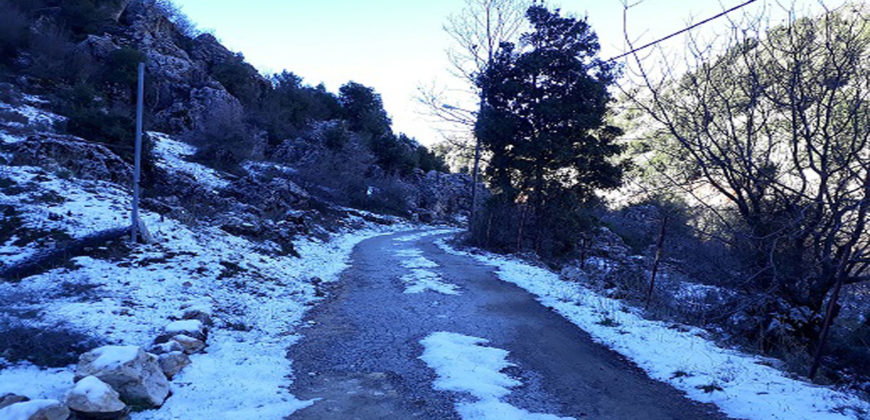 Land for Sale Ehmej Jbeil Area 2350Sqm