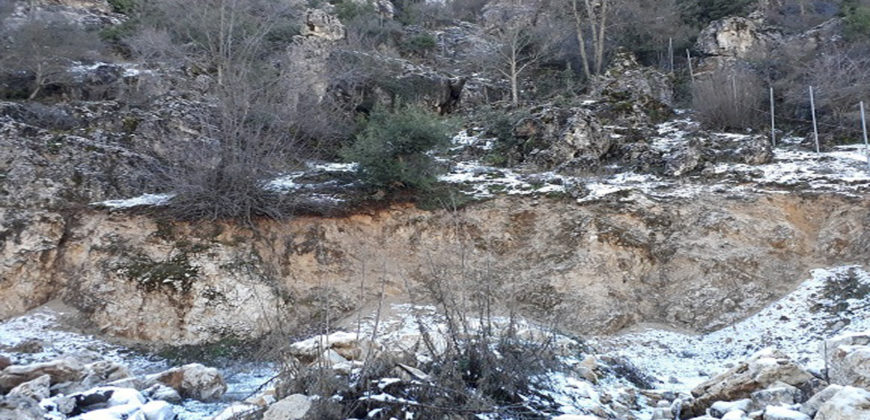 Land for Sale Ehmej Jbeil Area 2350Sqm