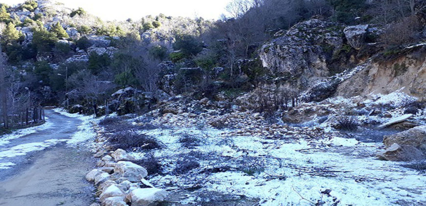 Land for Sale Ehmej Jbeil Area 2350Sqm