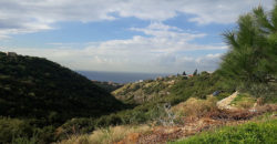 Land for Sale Edde Jbeil Area 600Sqm