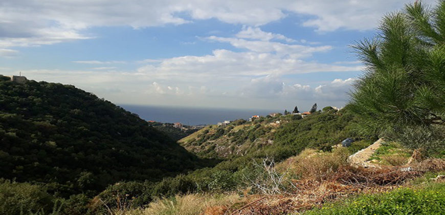 Land for Sale Edde Jbeil Area 600Sqm