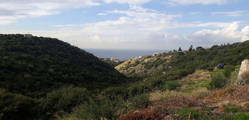 Land for Sale Edde Jbeil Area 600Sqm