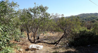 Land for Sale Ain Kfaa Jbeil Area 1210Sqm