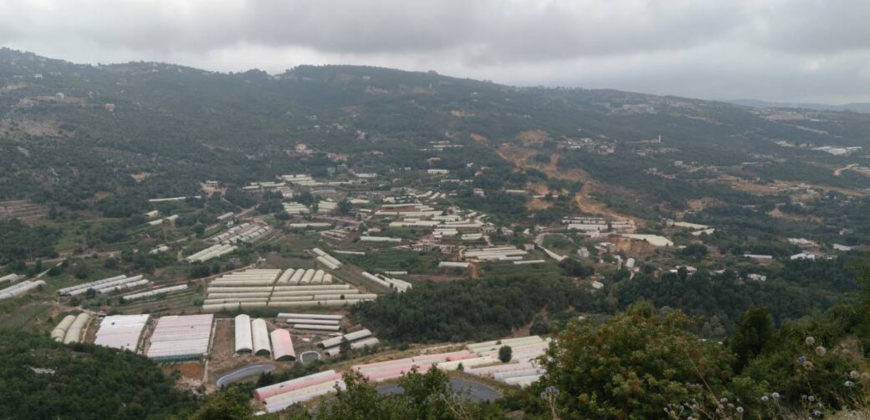 Land for Sale Tourzaiyya Jbeil Area 800Sqm